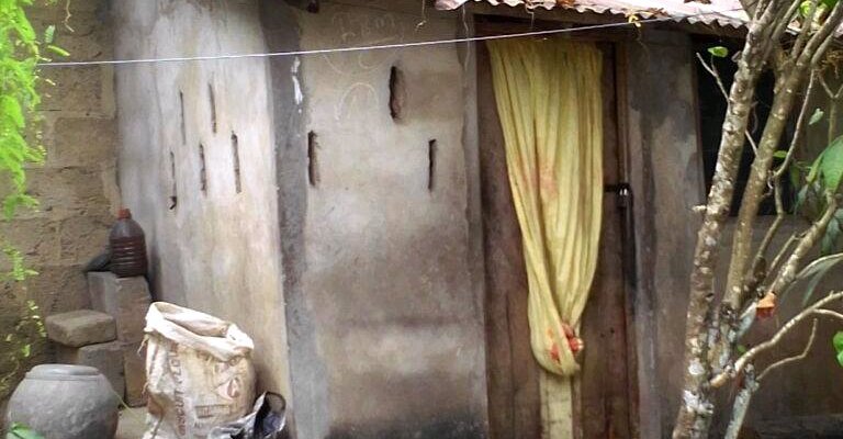 Dog eats drunk herbalist’s private parts in Calabar